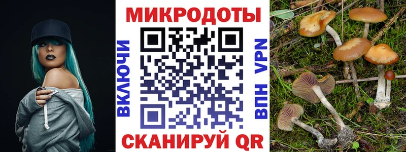 Псилоцибиновые грибы мухоморы  даркнет сайт  Называевск 